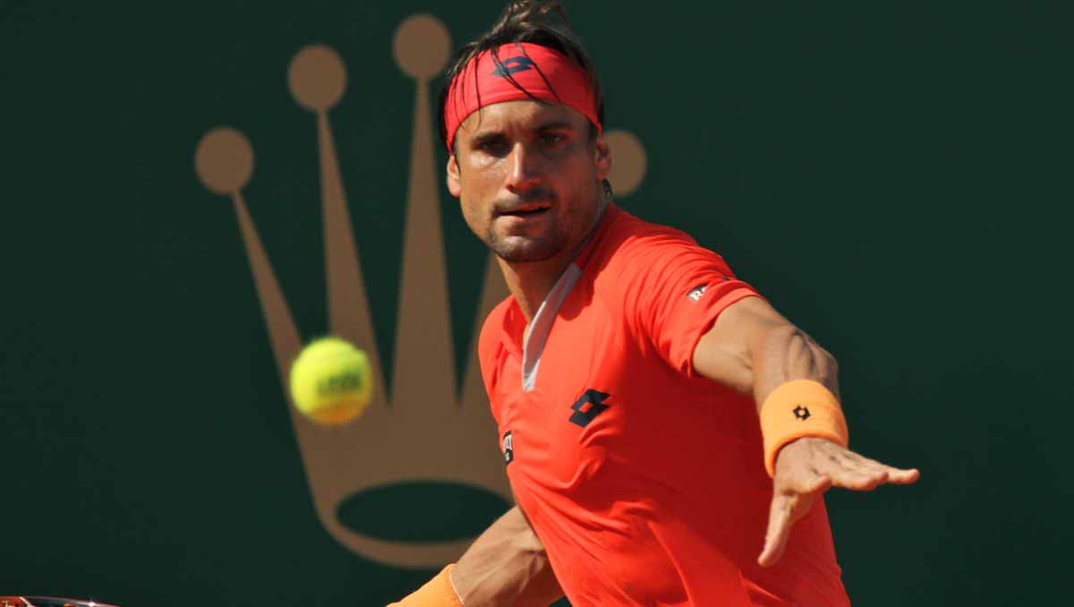 David Ferrer